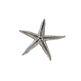 Baby Starfish Shell Ornament