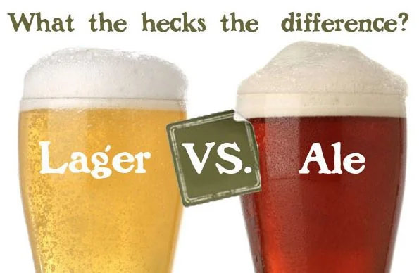 The Difference Between Ale and Lager The Difference Between Ale and Lager